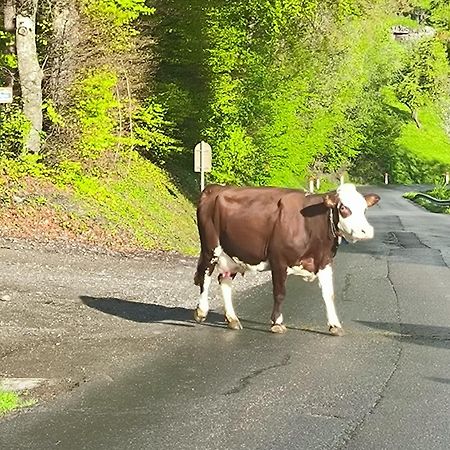 A Cordon Entre Bois Et Nature Kültér fotó
