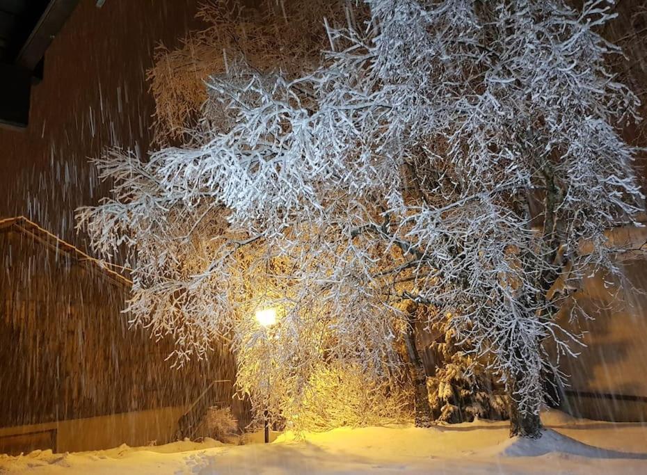 A Cordon Entre Bois Et Nature Kültér fotó