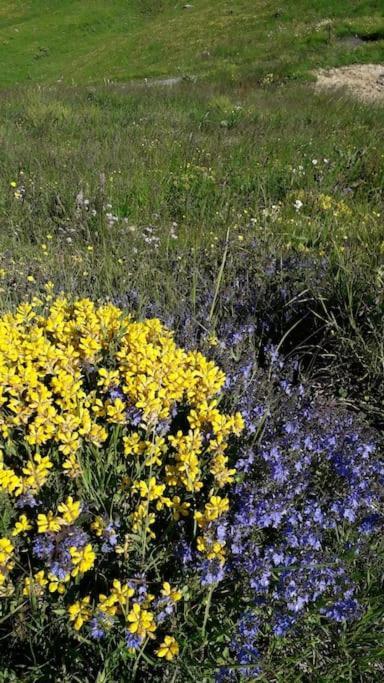 A Cordon Entre Bois Et Nature Kültér fotó