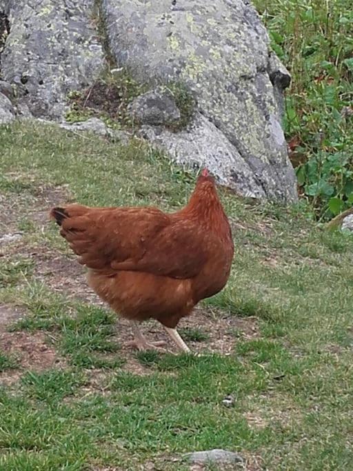 A Cordon Entre Bois Et Nature Kültér fotó