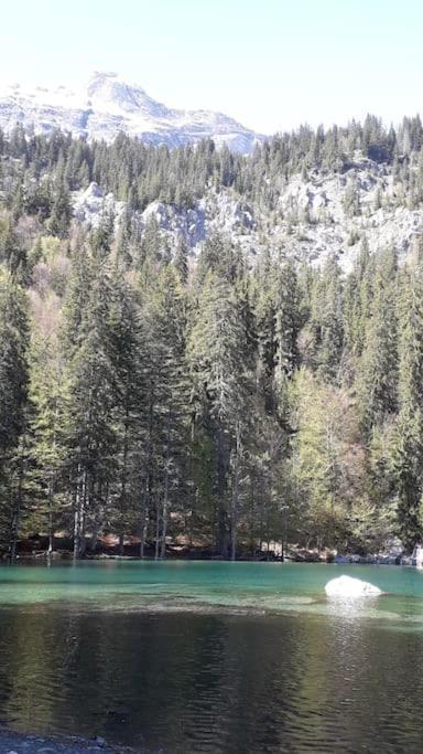 A Cordon Entre Bois Et Nature Kültér fotó